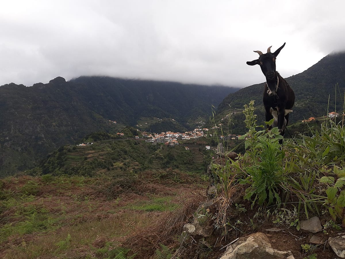 Boaventura, Madeira, seen from near Miradouro do Bom Jesus